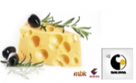 Royal Ice-Technologies exhibits in the International Food Fair in the Czech Republic